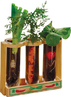 Root Viewer - observe vegetables growing right