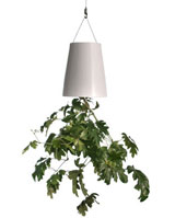 Nigel`s Eco Store Sky Planter - give your herbs and house plants a