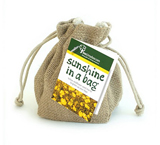 Sunshine in a Bag - a wildflower seed gift bag