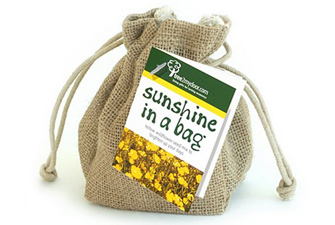 Sunshine in a Bag