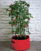 Nigel`s Eco Store Tomato Patio Planter with support - grow you own