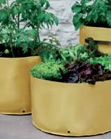 Nigel`s Eco Store Vegetable Patio Planter pack of 3 - grow your