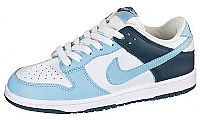 Nike Ladies Dunk Low CL Training Shoes