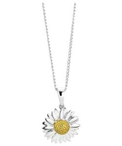 no Sterling Silver and 9ct Gold Flower Pendant