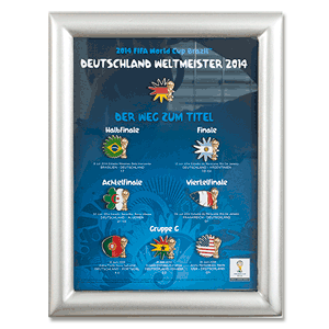 None 2014 FIFA Pin Collection - the Way to Final