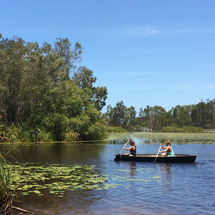 Noosa River Everglades BBQ Canoe Cruise - Child
