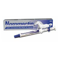 Noromectin Equine Paste (Single syringe)