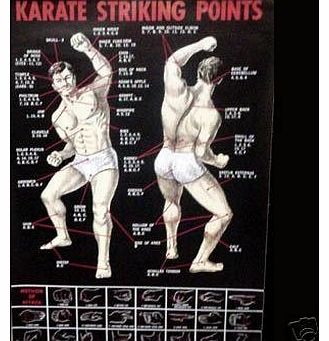 Nws POSTER - Karate Striking Points