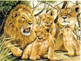 Reeves - Paint By Numbers Pride Of Lions