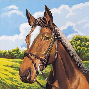 Reeves Junior Paint By Numbers Horses Head