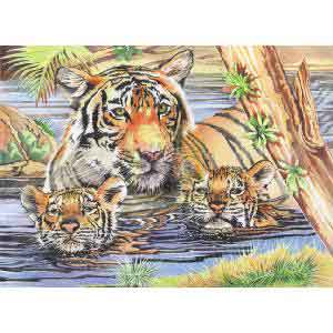 Reeves Senior Pencil By Numbers Tiger and Cub