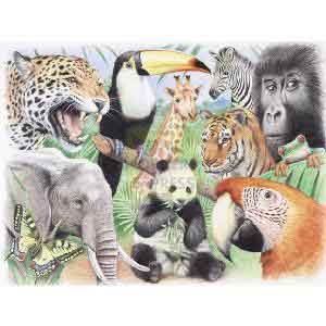 Reeves Watercolour By Numbers Jungle Animals
