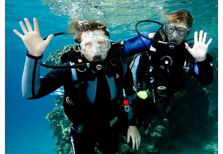 OCEAN College PADI Open Water Dive Course - 4 Days