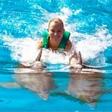 World plus Dolphin Swim with Transport - Adult