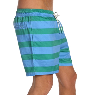 Stripe 11206 Swim Shorts