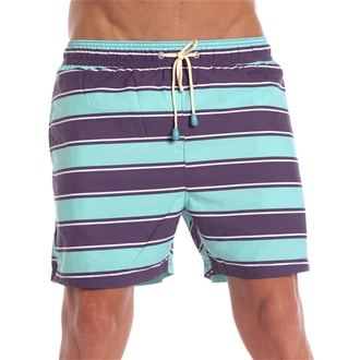 Tuckernuck Strip Swim Shorts