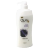 Olay Body Cleansing - Bath Foam Body Protect 720ml