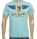 and#39;Lion DIYand39; Aqua Short Sleeve T-Shirt