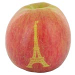 Olivier Lelut Pomme Tour Eiffel