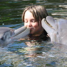 One Day Dolphin Swim and Everglades Adventure - Dolphin Swim Ticket