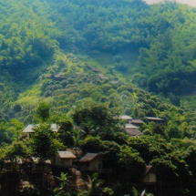 Day Trekking - Chiang Rai - Adult