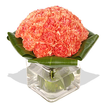 Orange Carnation Cube - flowers