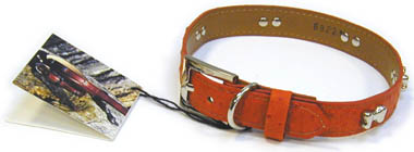 ORANGE Ostrich Leather Collar 16"- 20"