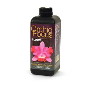 orchid Focus Bloom - 1 litre
