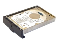 Storage hard drive - 100 GB - IDE