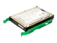 Hard drive - 250 GB - internal - IDE - 7200 rpm