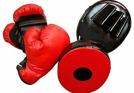 8oz Boxing Gloves and Punching Mitt