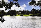 Pampering Four Night Stay for Two at Champneys Forest Mere