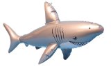 Pams Inflatable Shark (91cm long)
