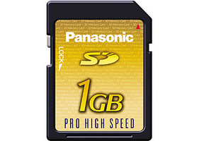 Panasonic RPSDQ01