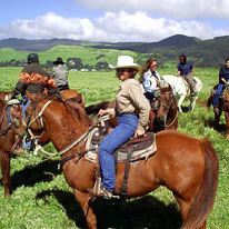 Parker Ranch Horse Trail, Big Island - Adult