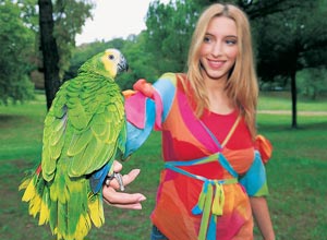 Parrot handling experience