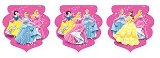 Disney Princess Pennant Banner
