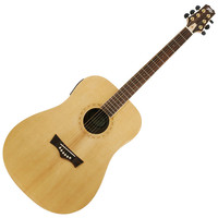 Peavey DW3 Acoustic Guitar