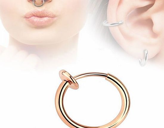 Pegasus Body Jewellery Rose Gold Fake Septum Clicker Nose Ring tragus Cartilage Earring Other Colours Available in our Pegasus Body Jewellery Amazon Shop