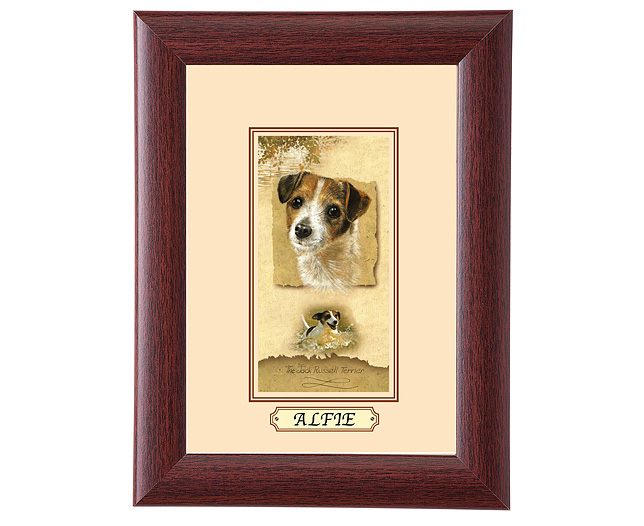 Framed Dog Breed Picture - Jack Russell