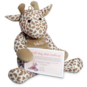 personalised Giraffe Pyjama Case and Birth