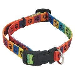 Medium Multi Paws Dog Collar 35-50cm (14-20in) by Pets at Home