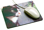 Photo Box Mousemat