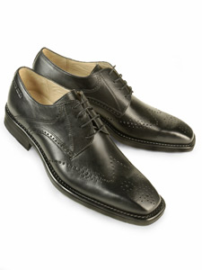 Pierre Cardin shoe