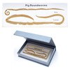 pig Roundworm Paperweight