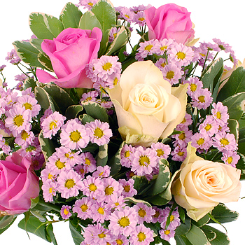 Pink and White Romance - flowers