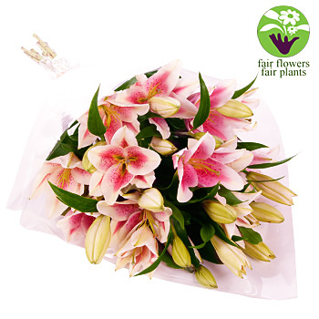 Pink Lily Gift Wrap - flowers