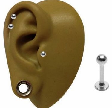 Piskies Playhouse 8 mm x 18g - Cartilage Helix Tragus Earring Lip Philtrum Labret Stud Bar - Surgical Steel