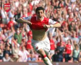 Cesc Fabregas 10x8` Celebration Photo Arsenal Football Club
