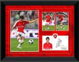 Cesc Fabregas Framed Player Profile, 2008/09 Season, Arsenal FC.